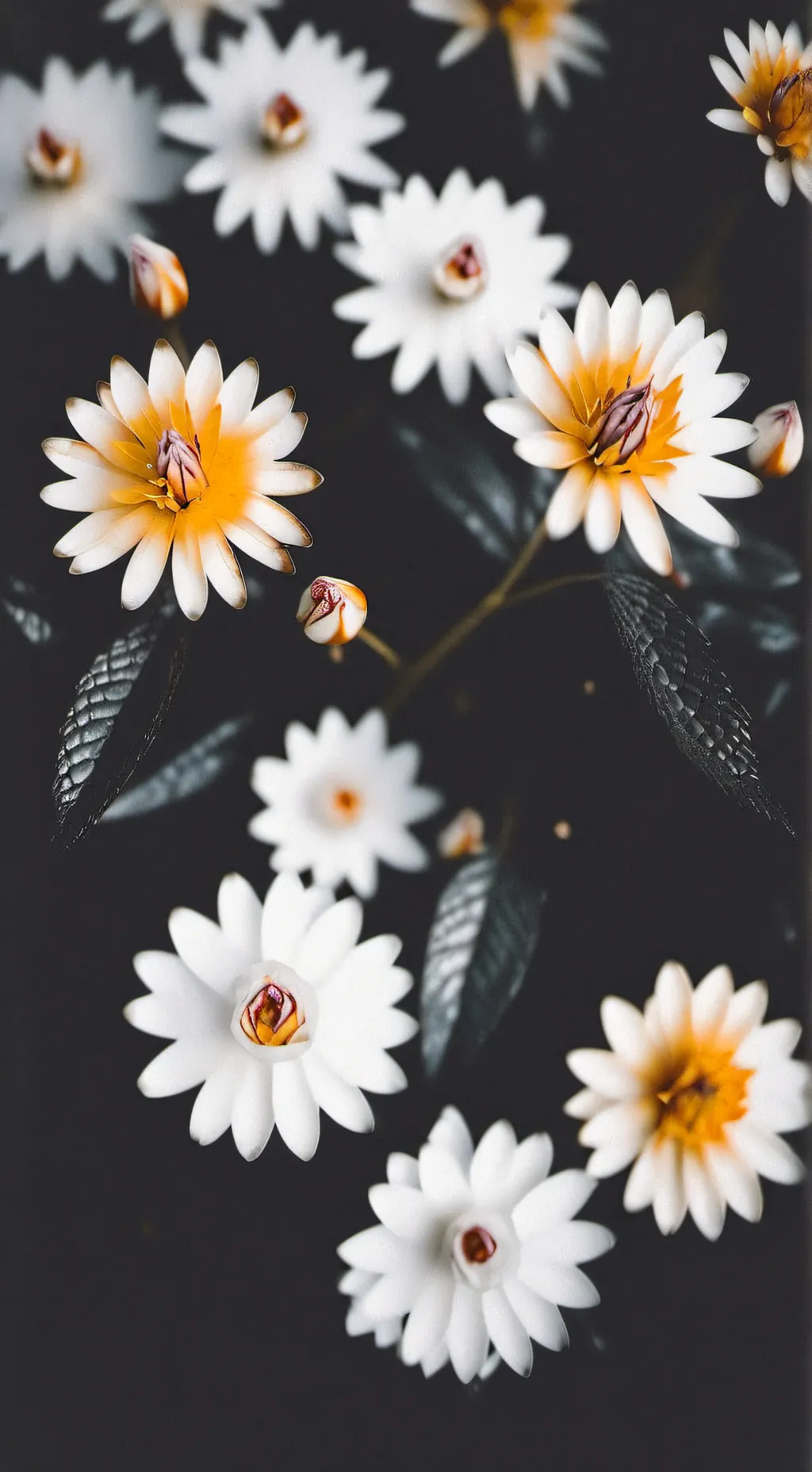 ai character: Fruitcake ♥️♥️ background