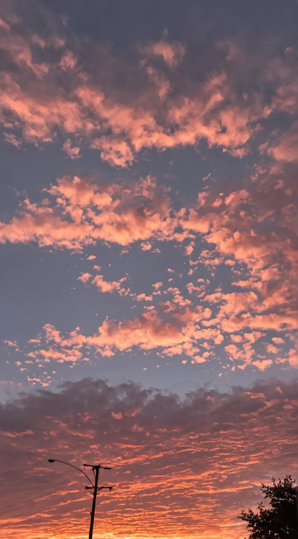 ai character: Job Suitor background