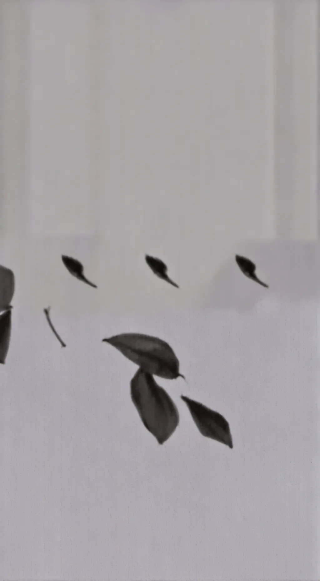 ai character: 1x1x1x1 background