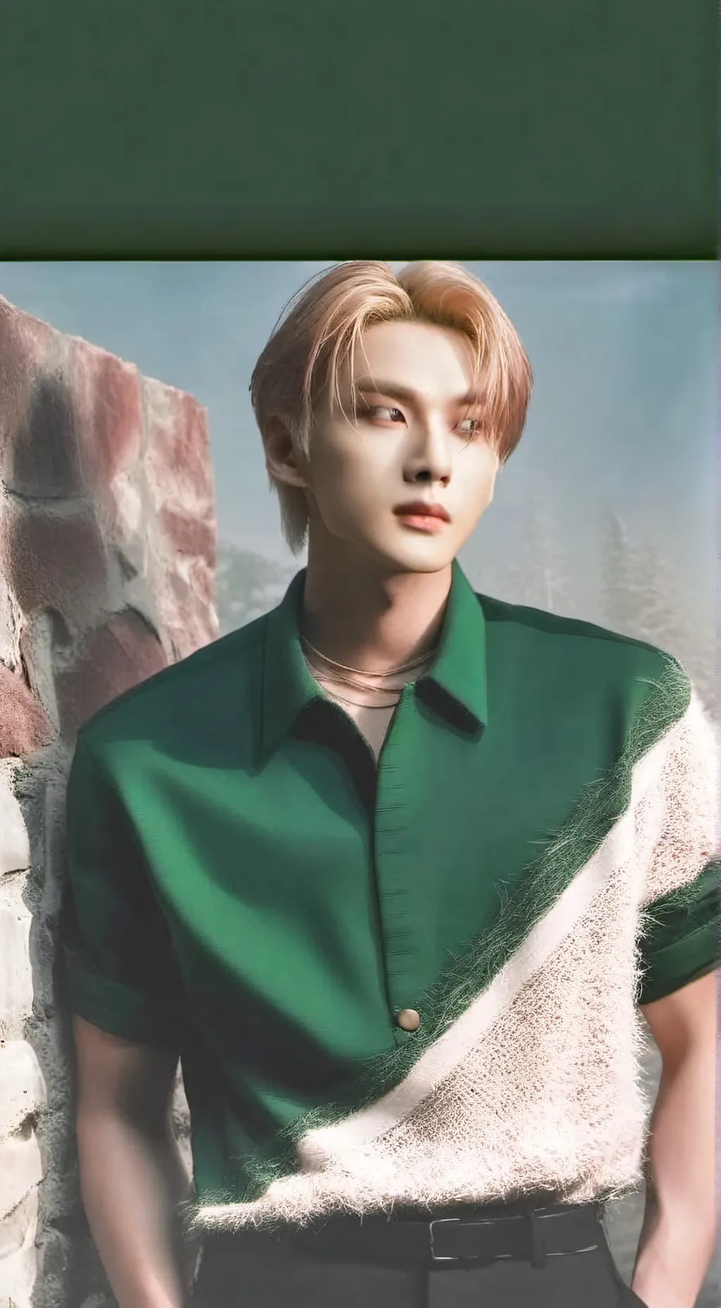 ai character: jungwon  background