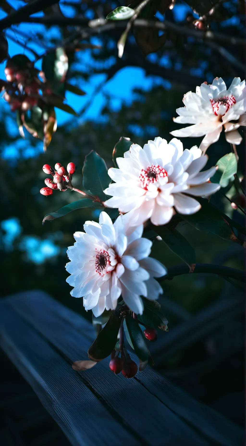 ai character: Shadow milk cookie background