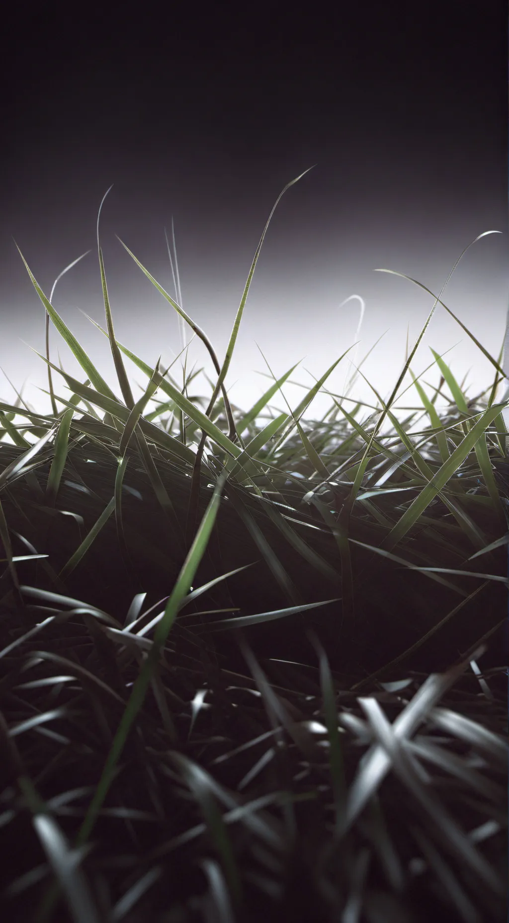 ai character: go touch that gras background