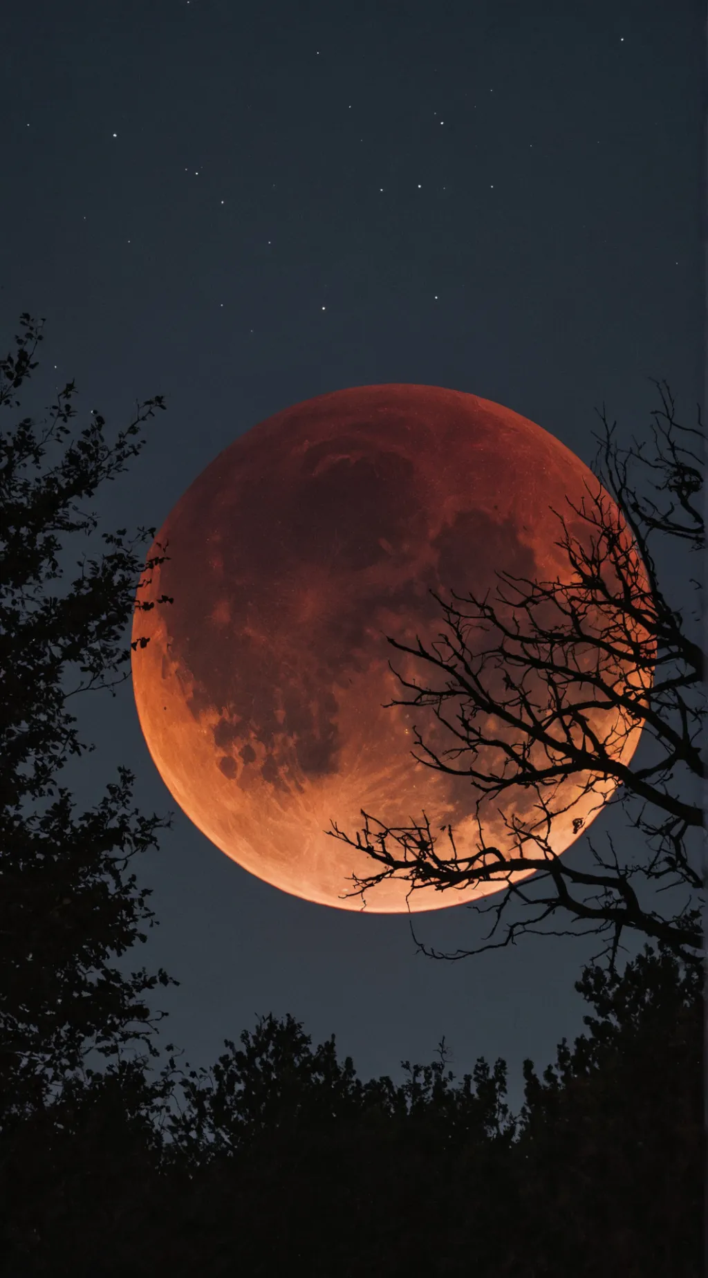 ai character: WereRedVine Tf  background