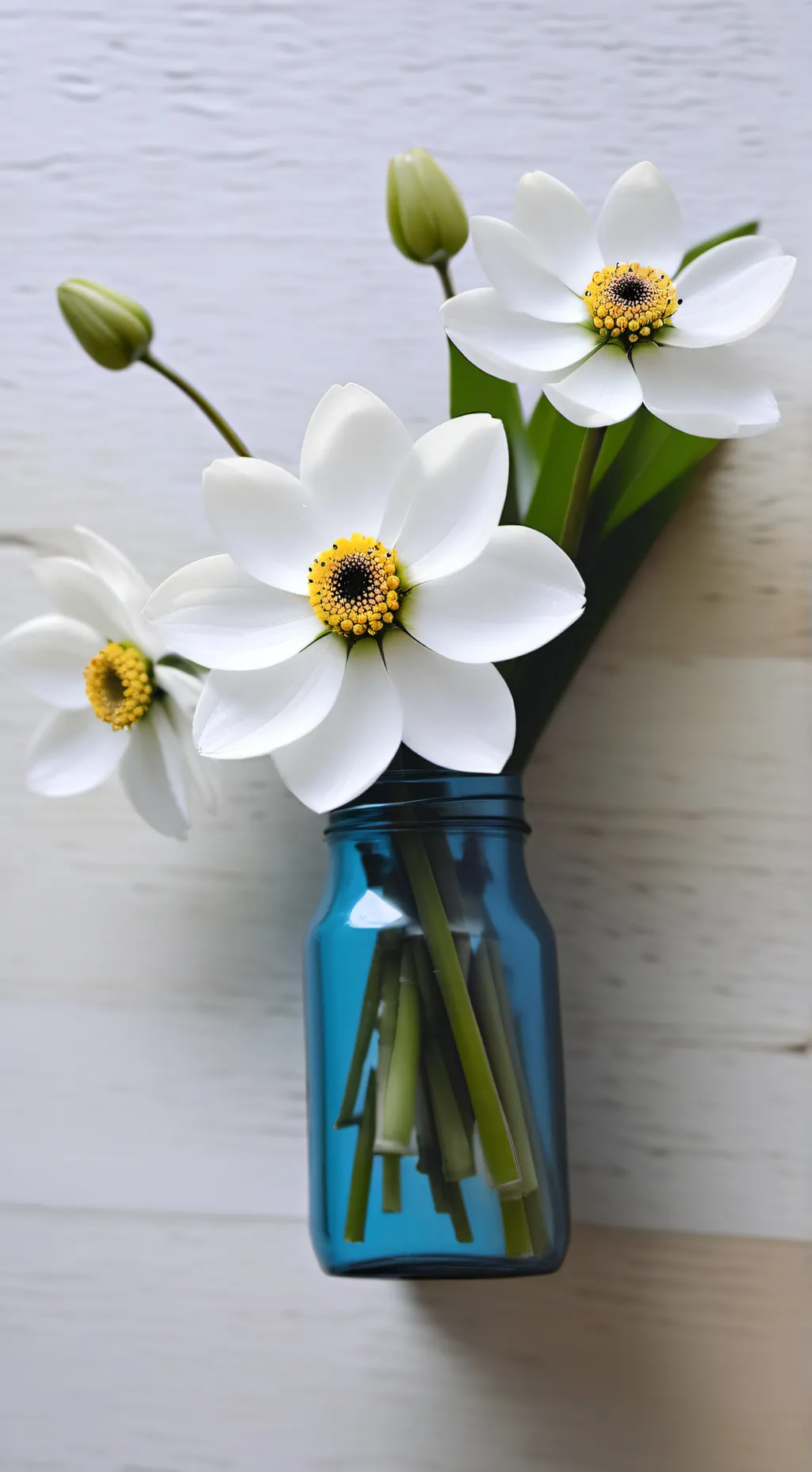 ai character: muitan prohibido?  background