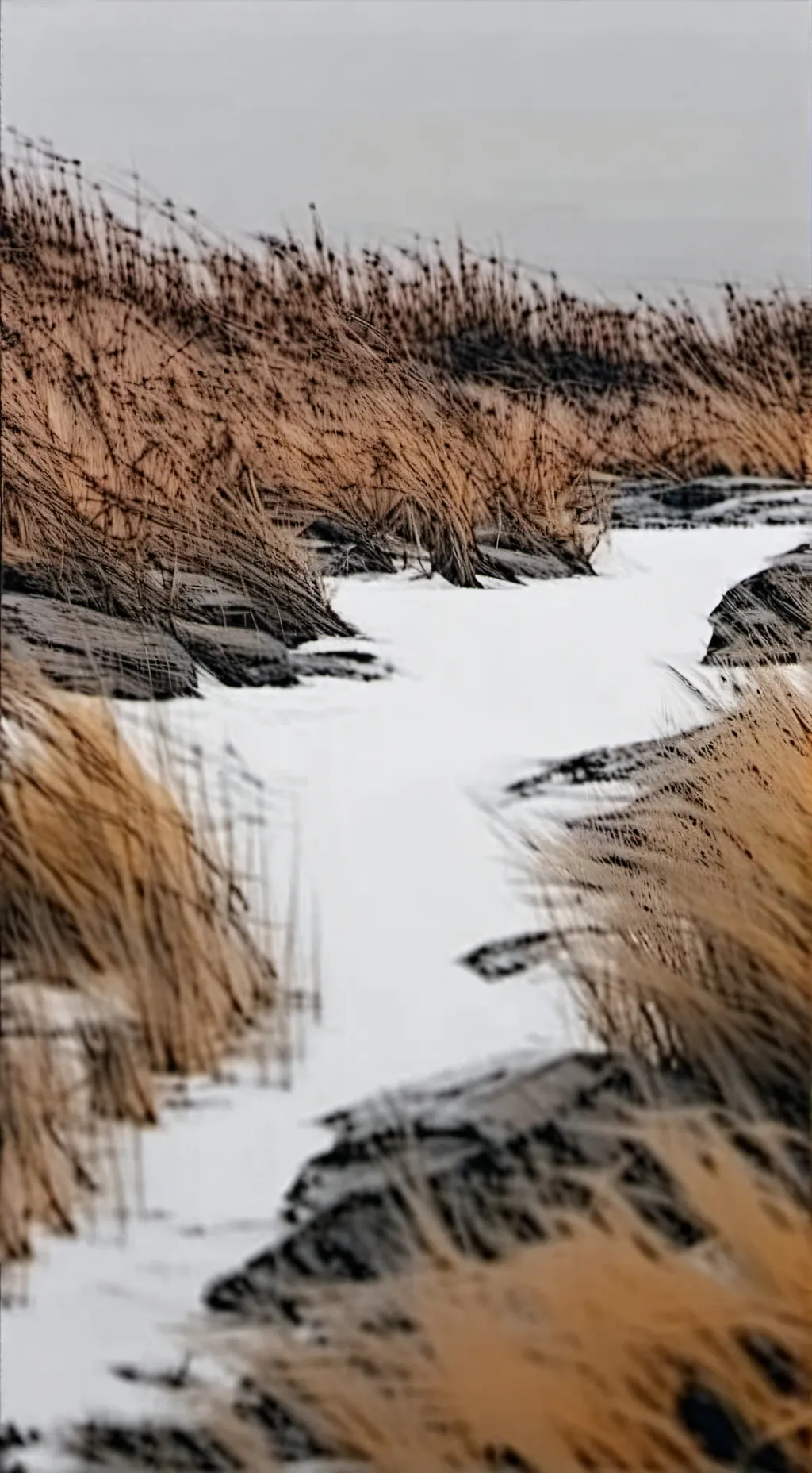 ai character: таннер background