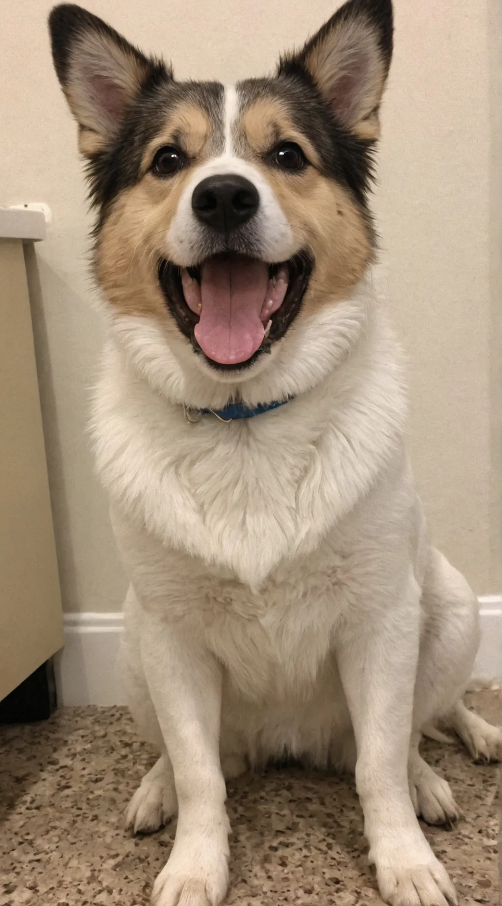 ai character: dw try not to laug background