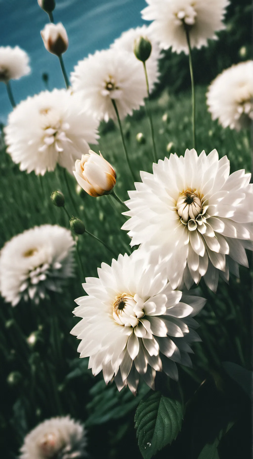 ai character: ♧{Galaxy's land}♧ background