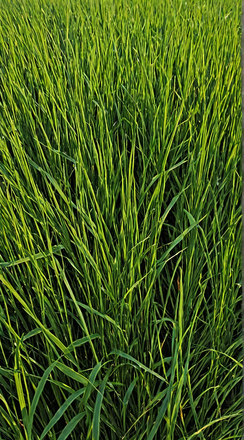 ai character: Was it? background