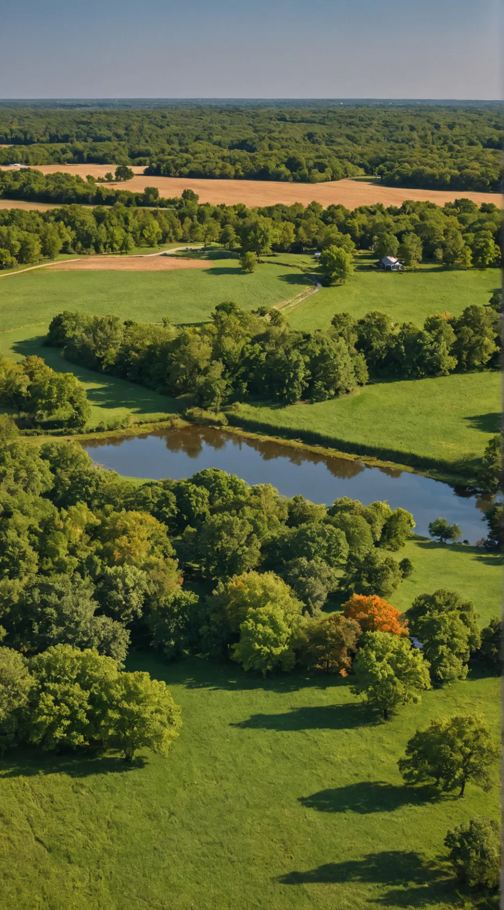 ai character: summertime ☀️  background