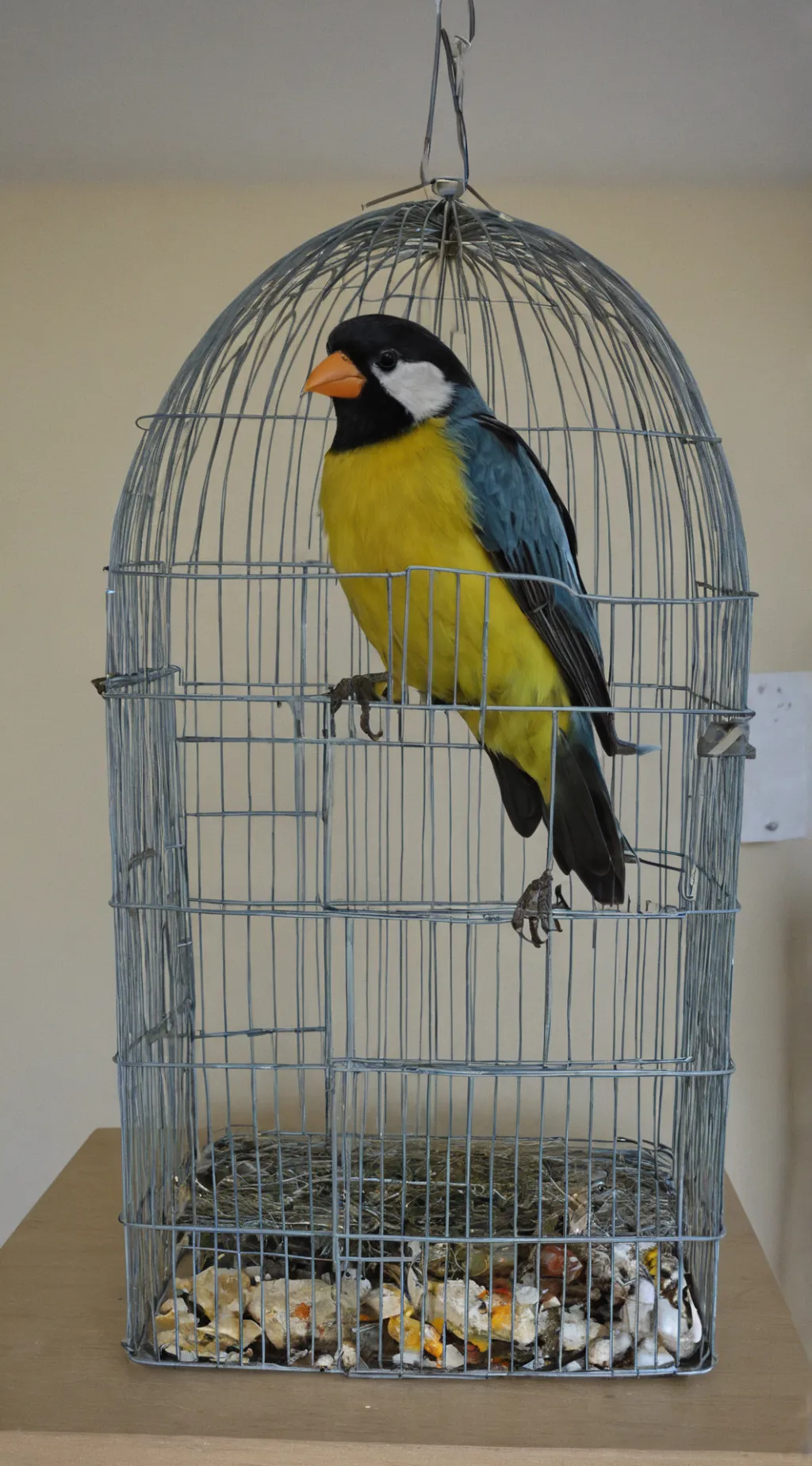 ai character: Bird shelter background