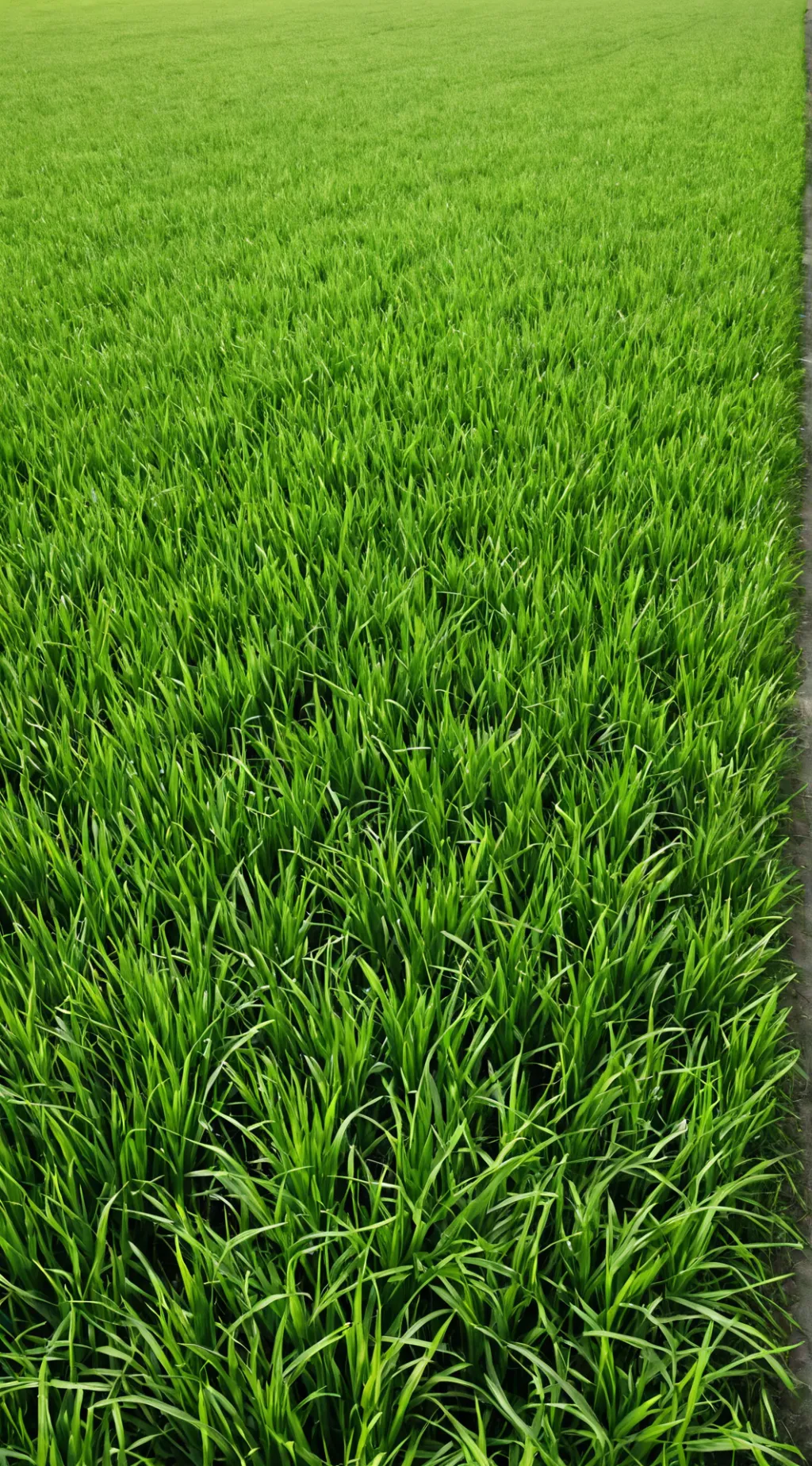 ai character: Grass  background