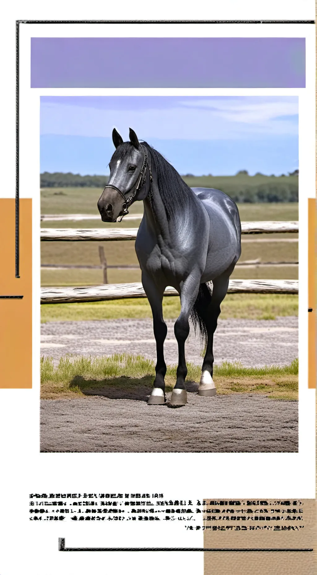 ai character: silm background