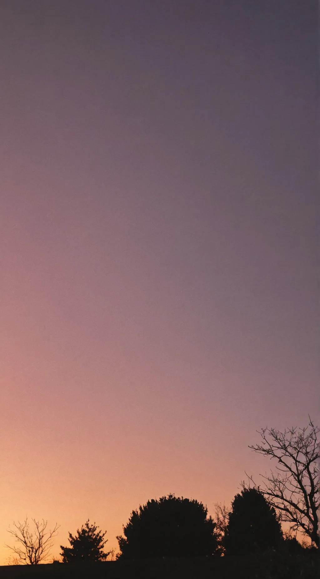 ai character: !!ANNOUNCEMENT!! background