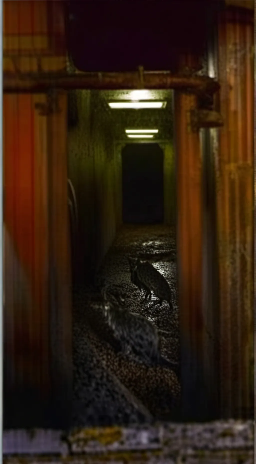 ai character: ZOOCHOSIS background