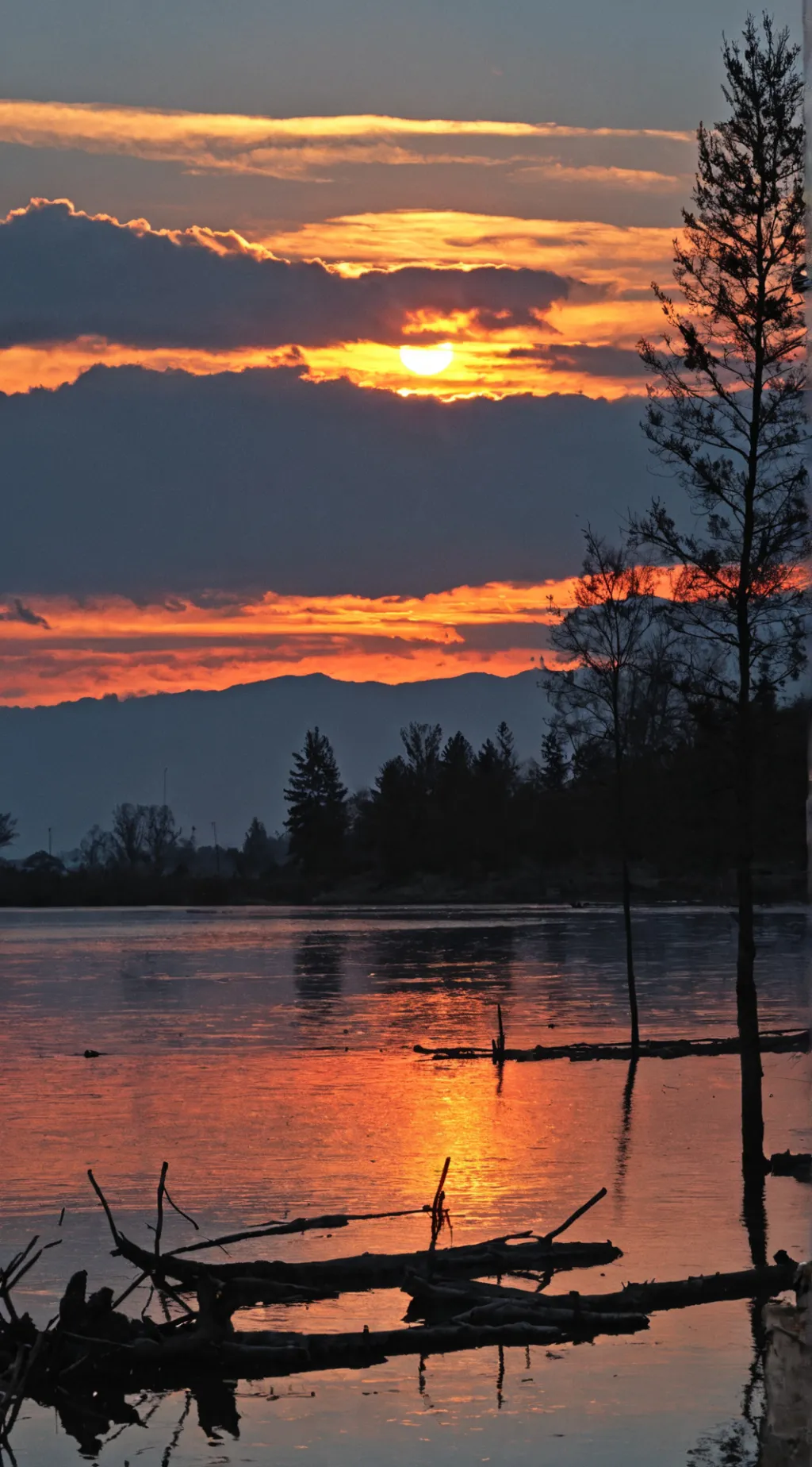 ai character: Stray kids background