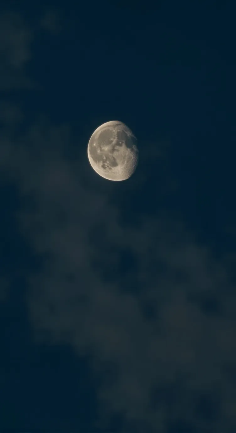 ai character: 🎀⭐irl fam!!⭐🎀 pt.2 background