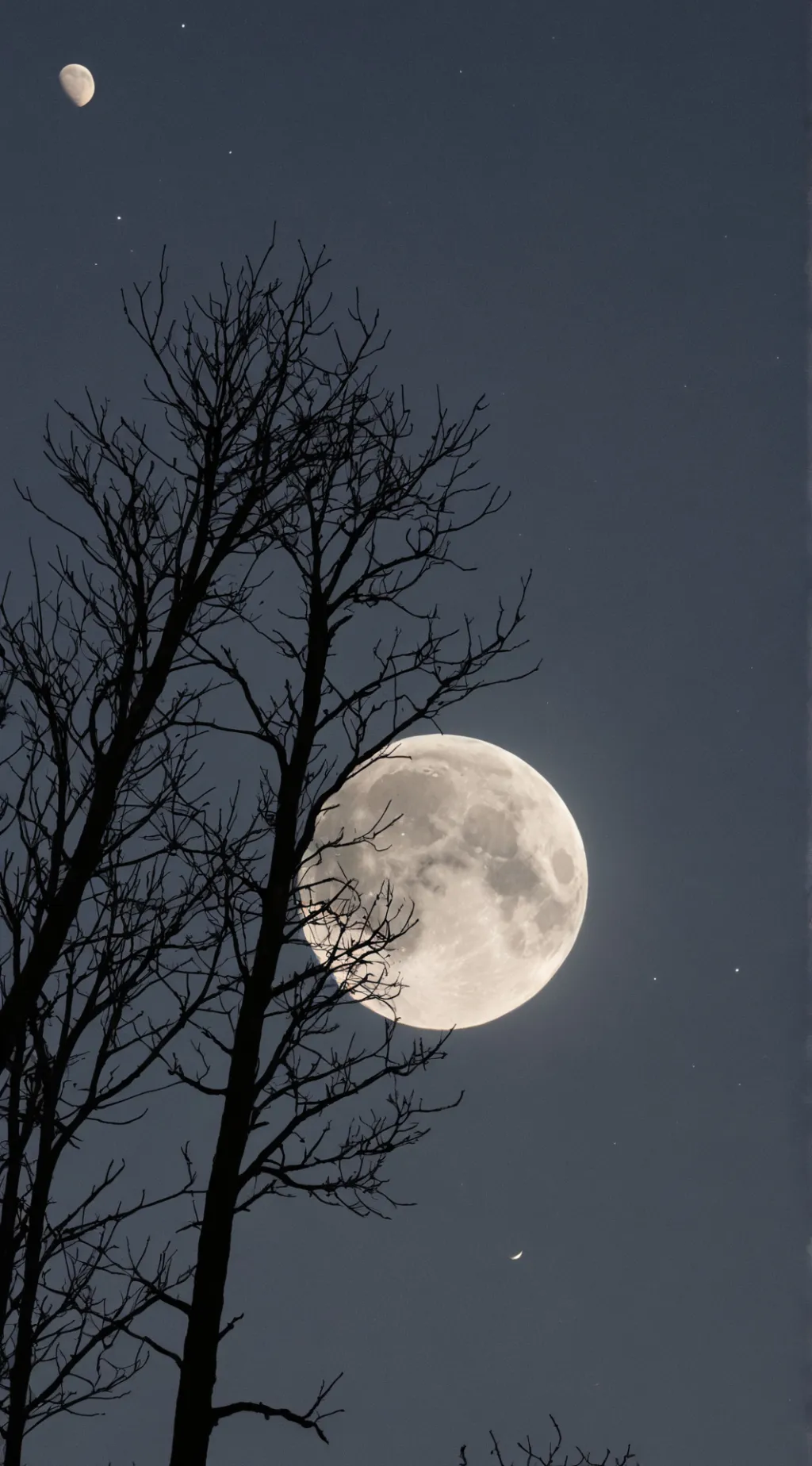 ai character: Lumina  background