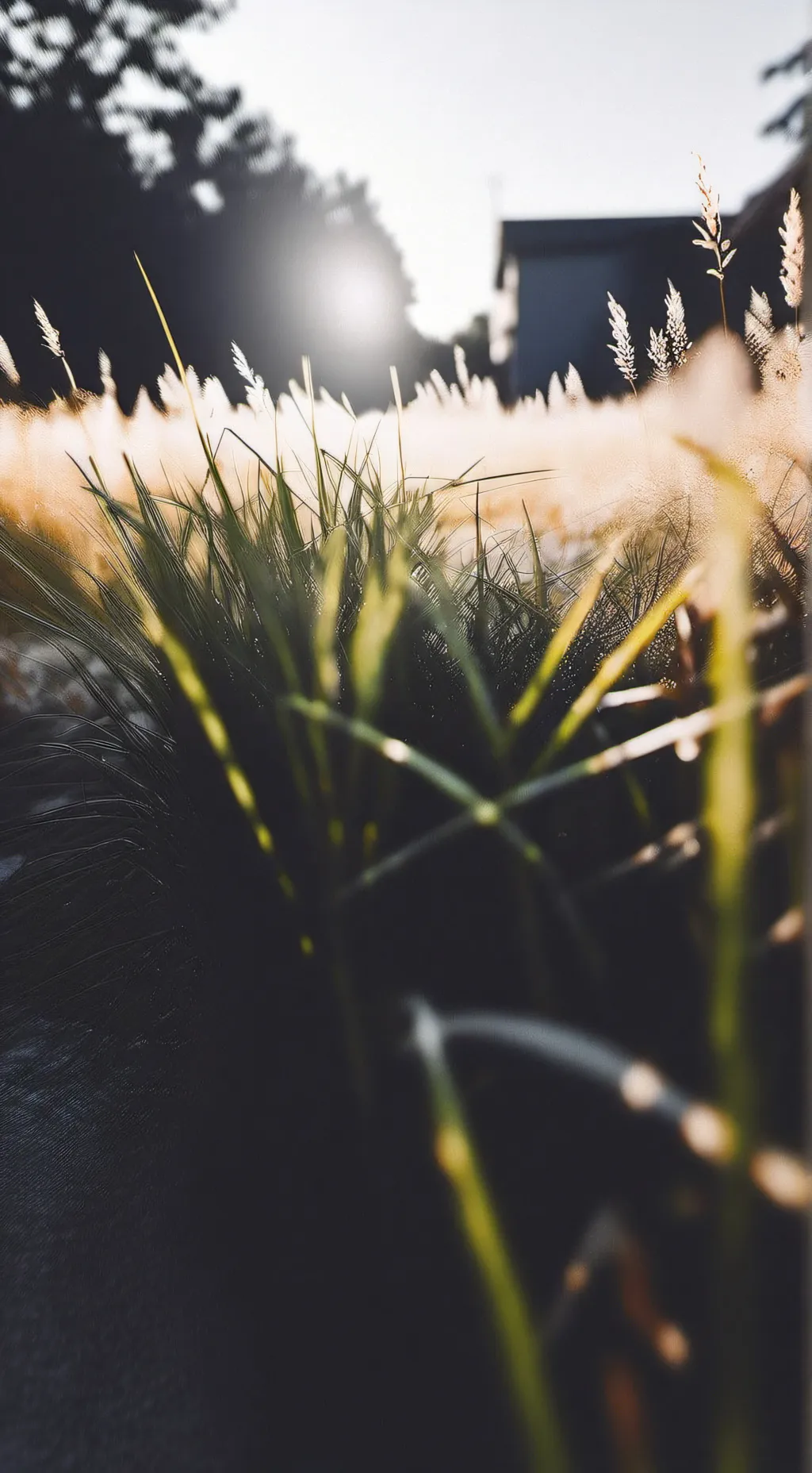 ai character: Sprunki! background