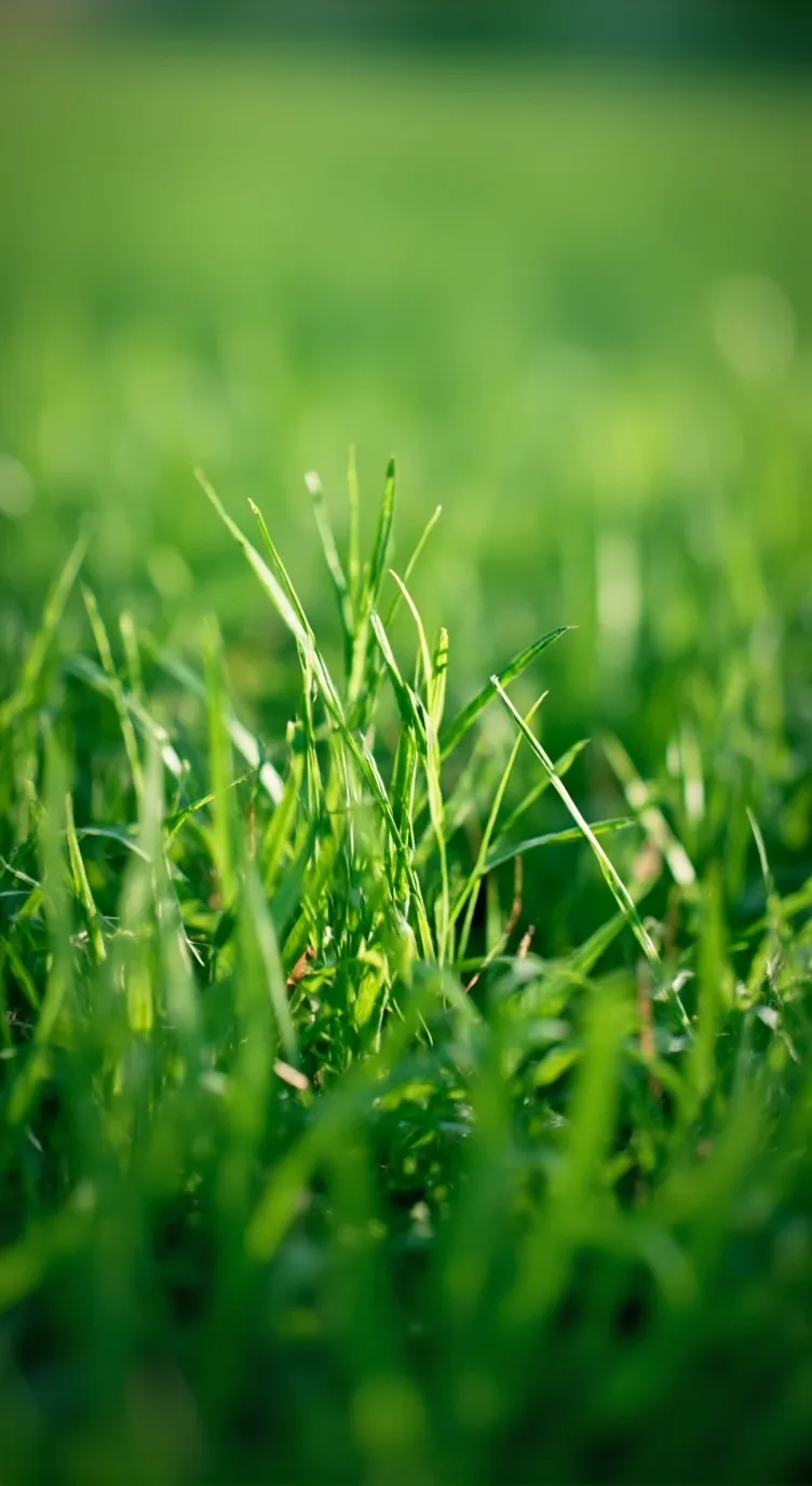 ai character: grass background