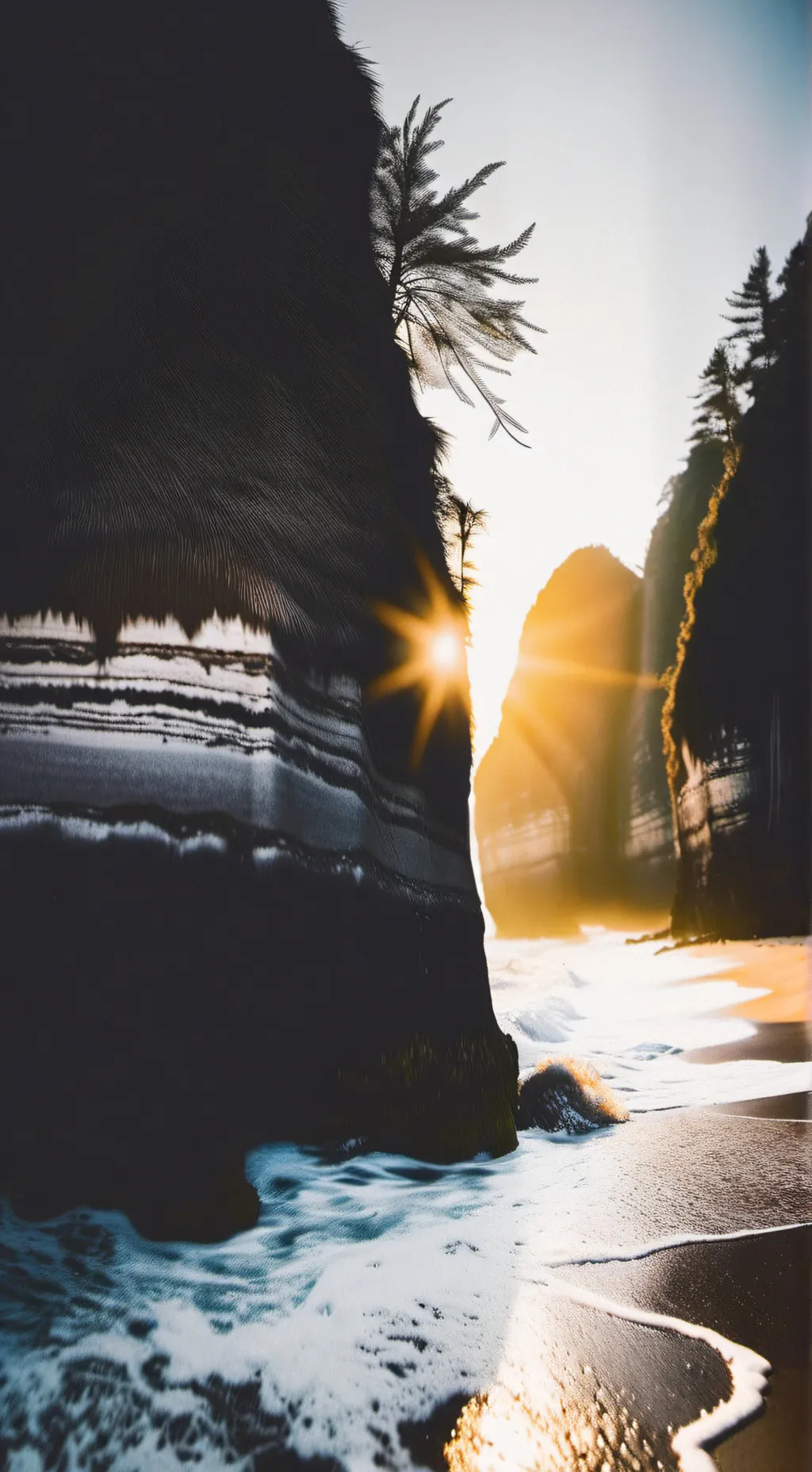 ai character: Obx background