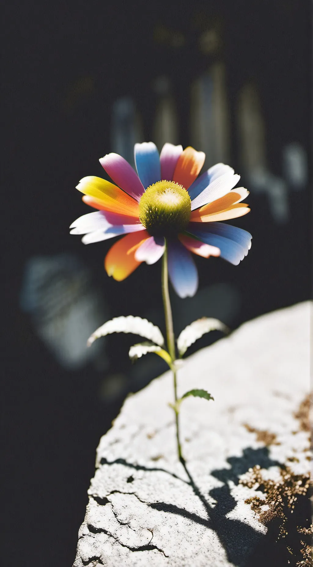 ai character: Dandy world thingy background