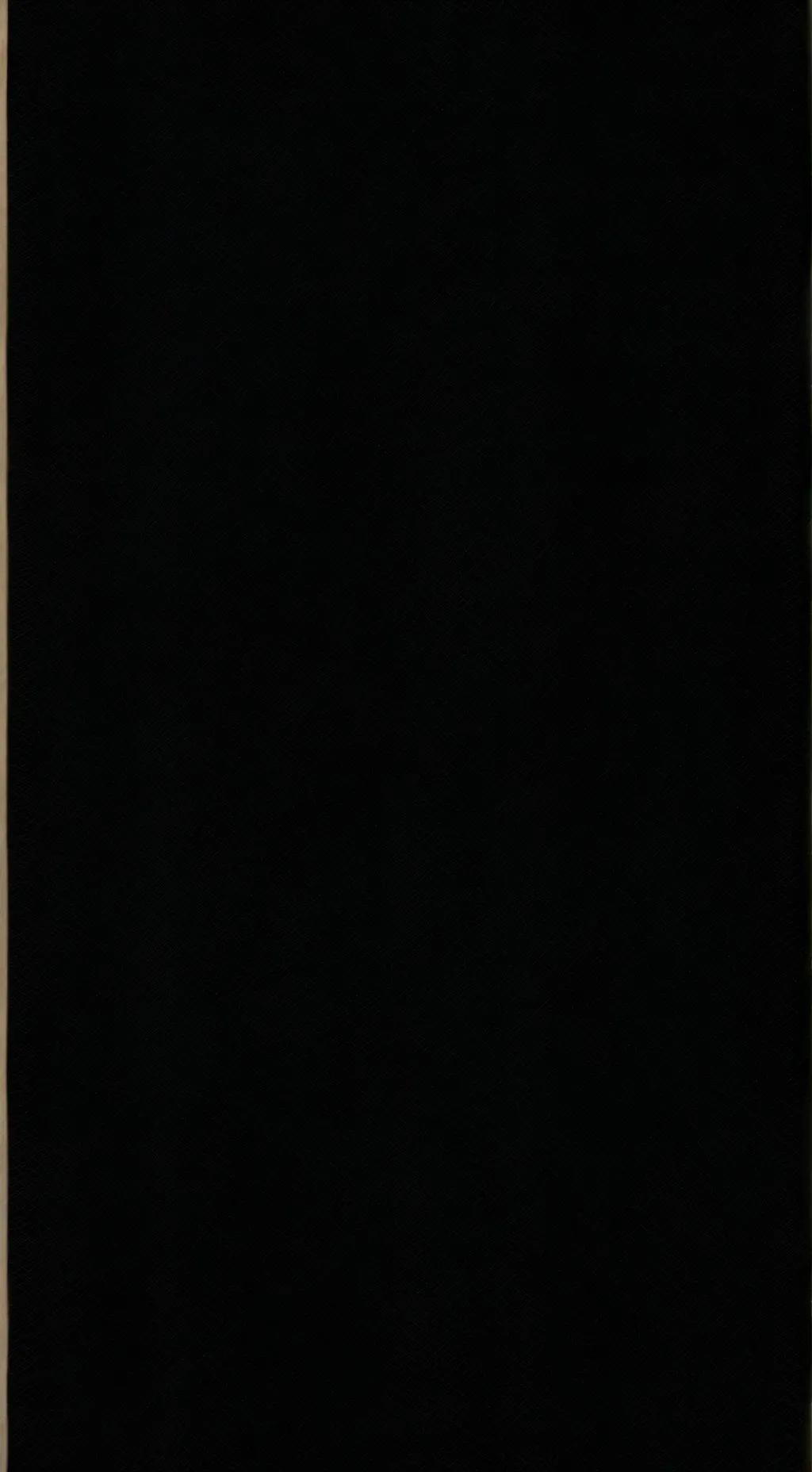 ai character: Book of life background