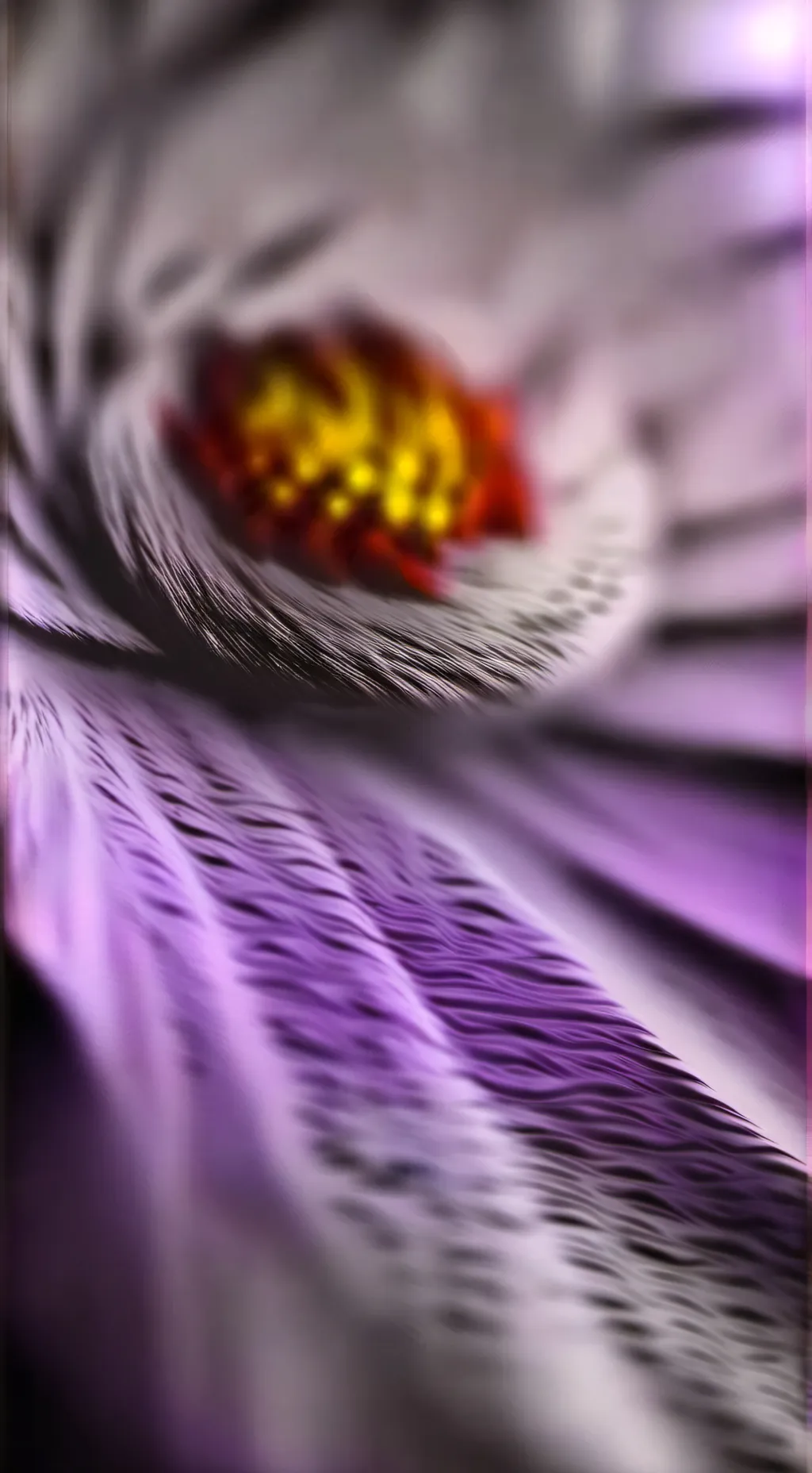 Talkie AI - Chat with 𝐃𝐖 || 𝐇𝐀𝐓𝐄𝐒 𝐘𝐎𝐔