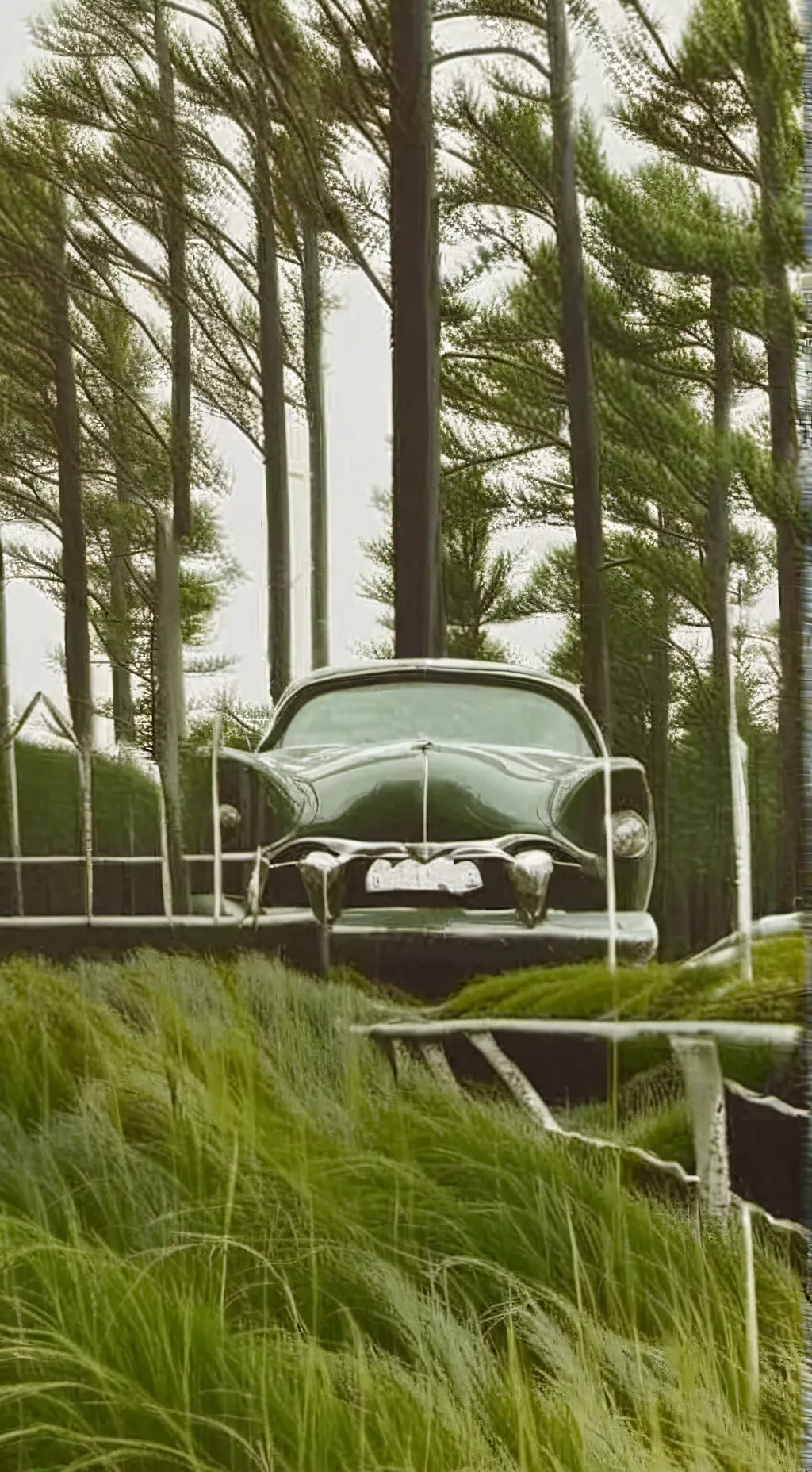 ai character: bakudeku🤓 background