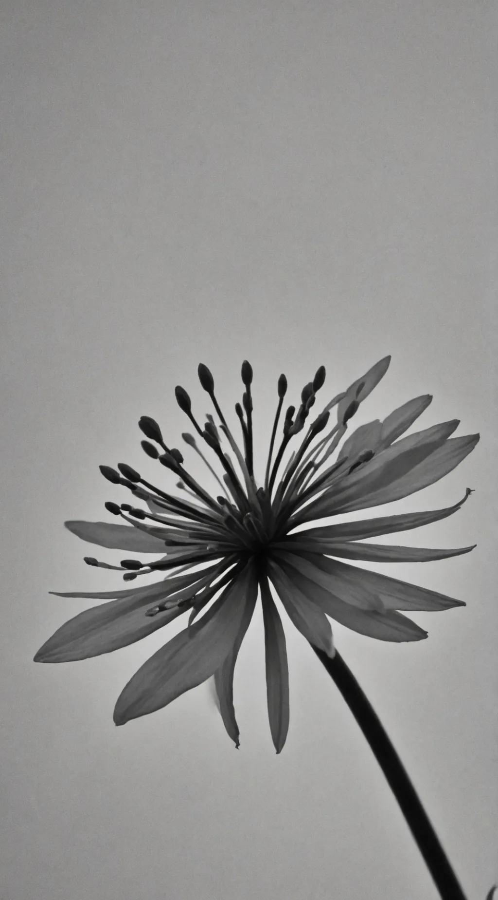 ai character: Dw infection hell background