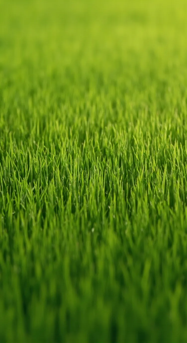 ai character: Transhellmation! background