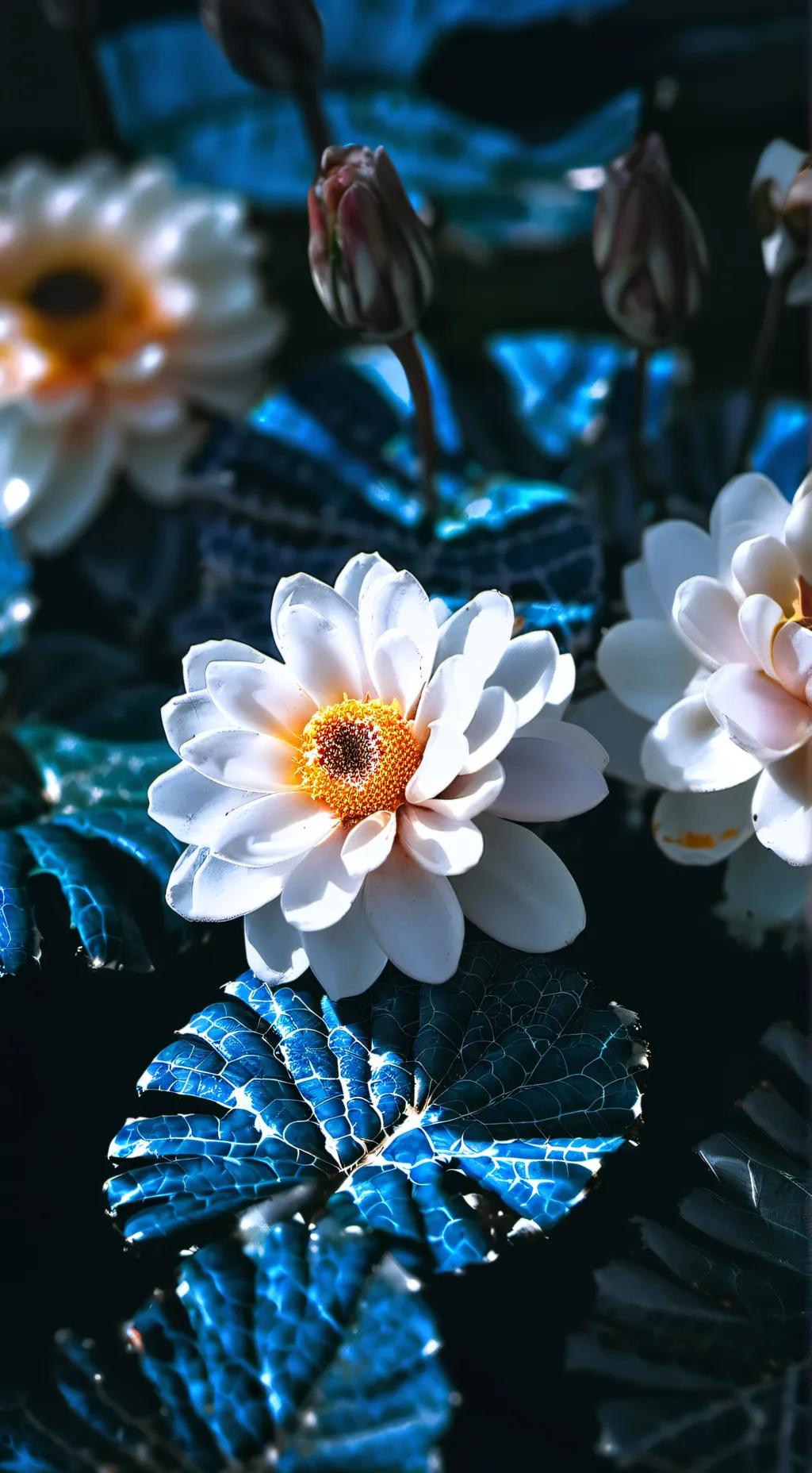 ai character: || CRK Beasts! || background