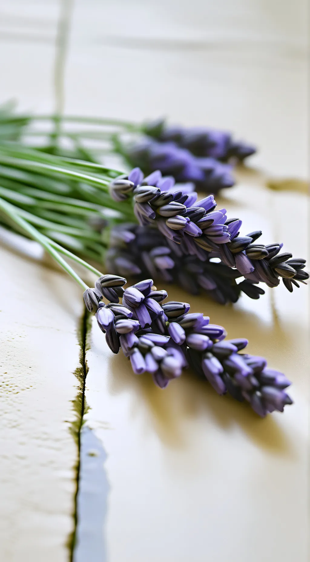 ai character: Dw  background