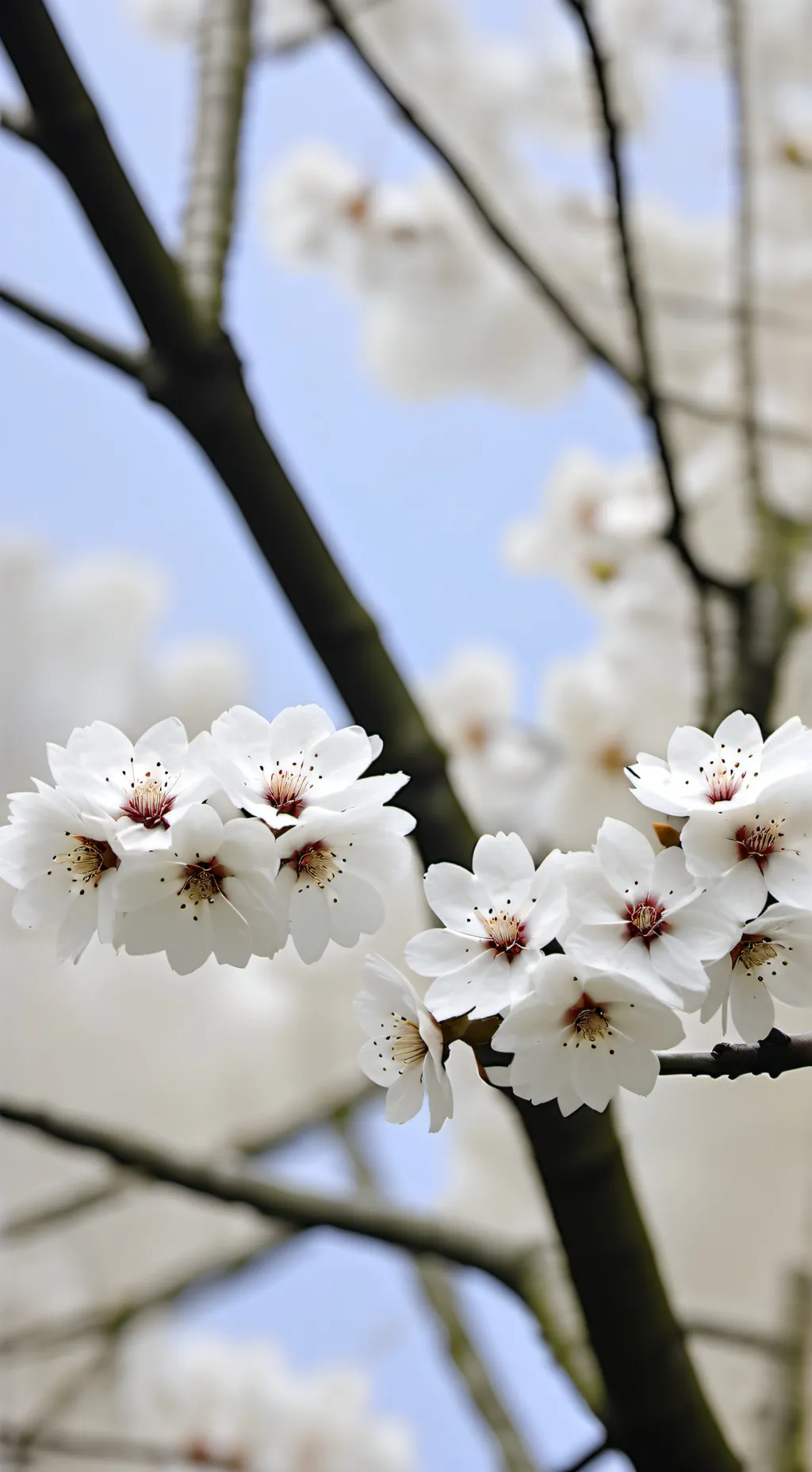 ai character: JJK  background