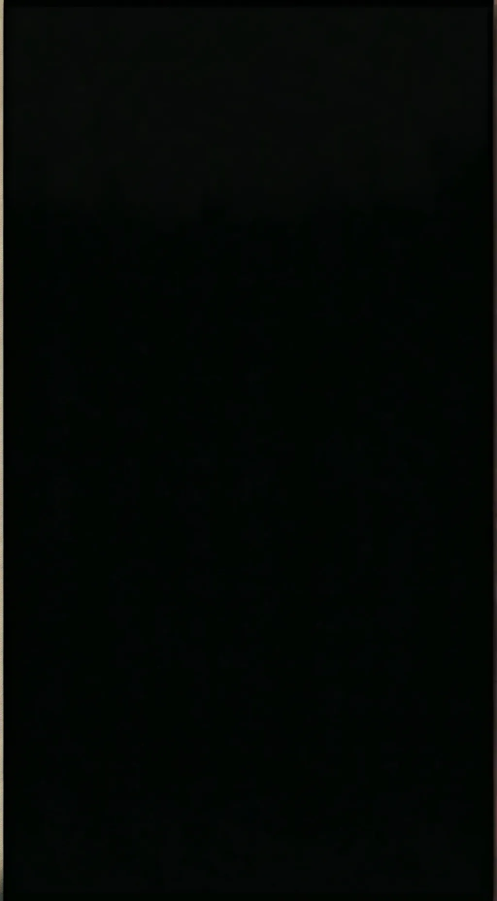 ai character: FRUITCAKE background