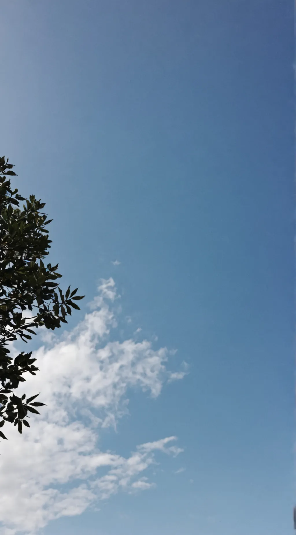 ai character: Lumina background