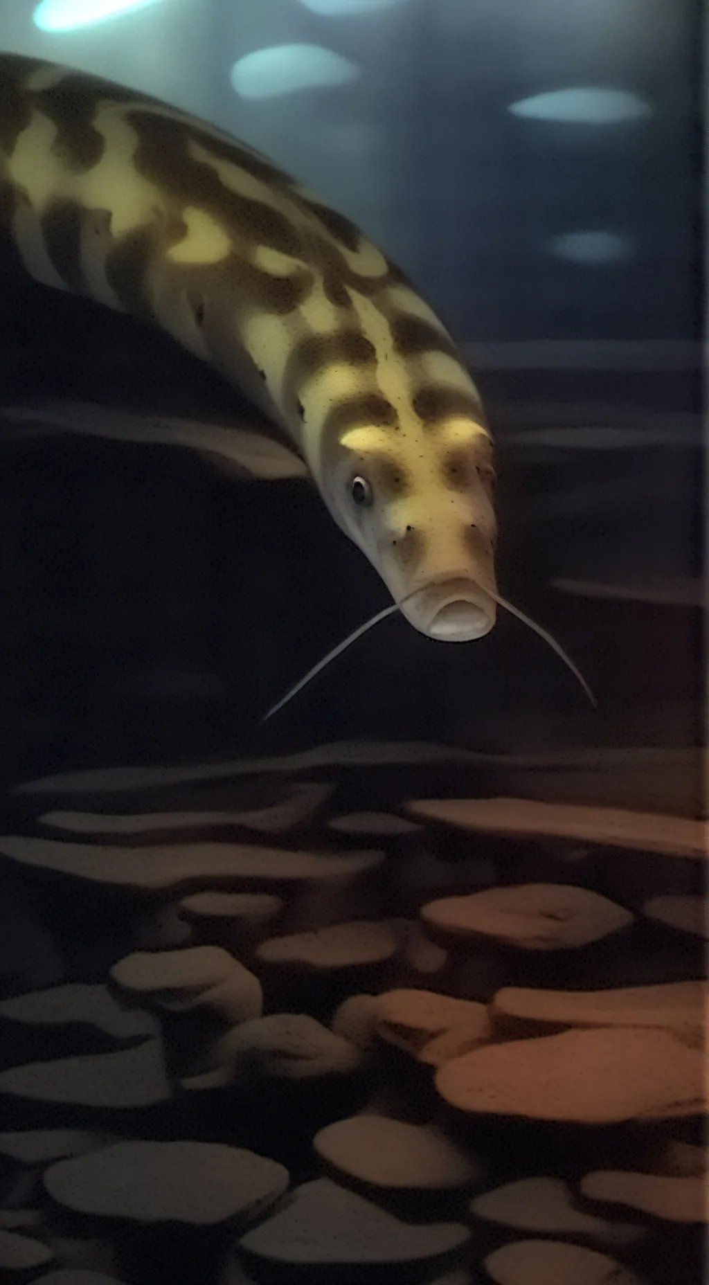 ai character: Your fish background