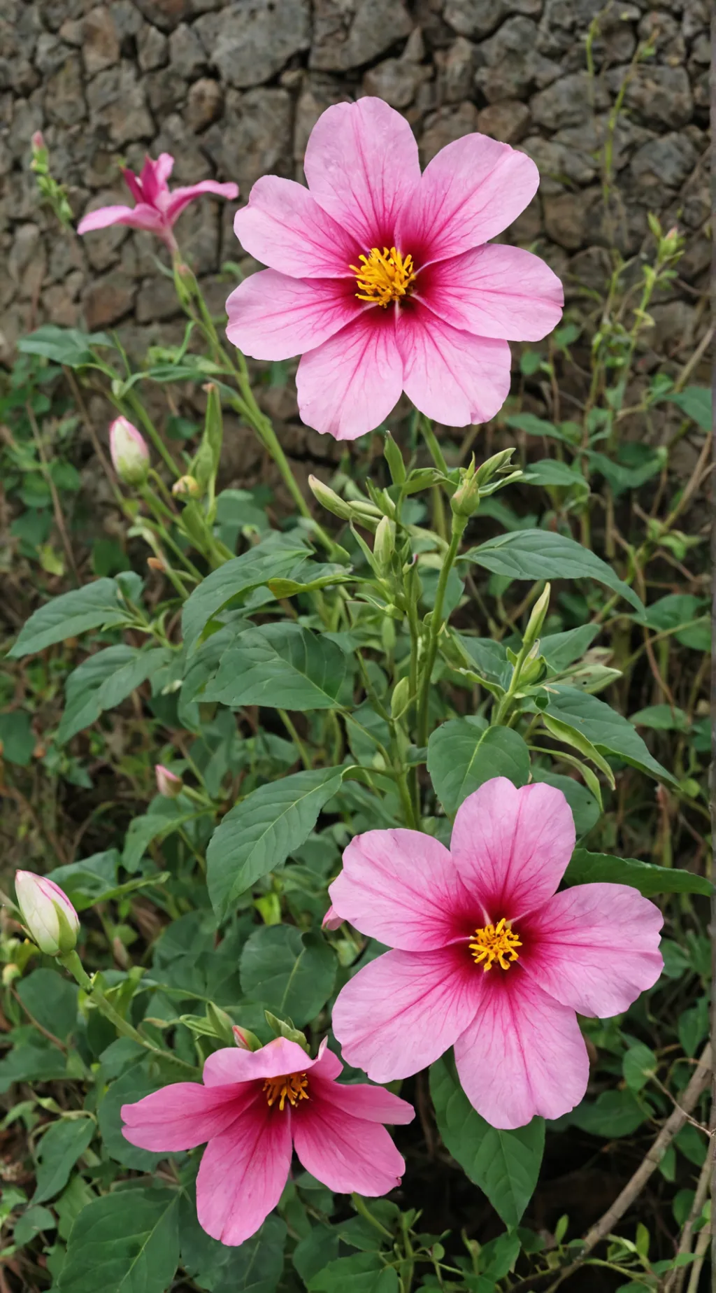 ai character: mi retirada😔😔😔😔😔 background