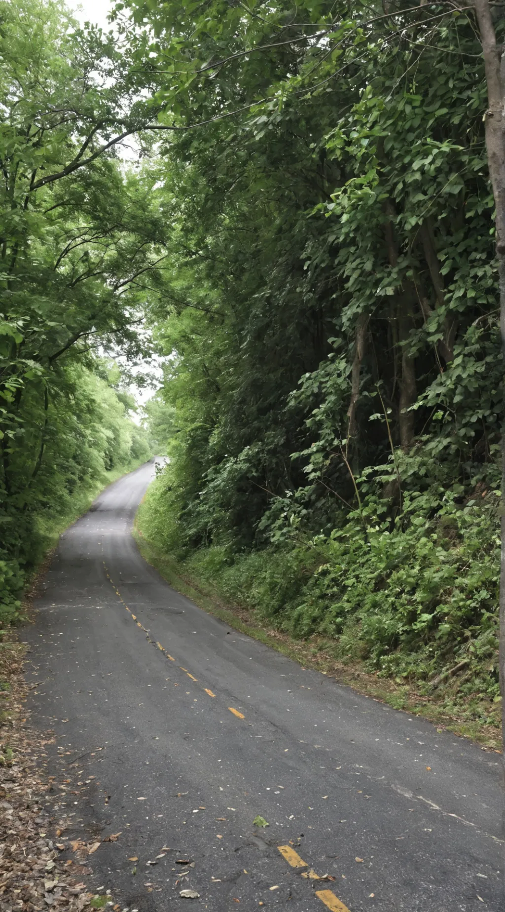 ai character: Class 1A vs LOV background