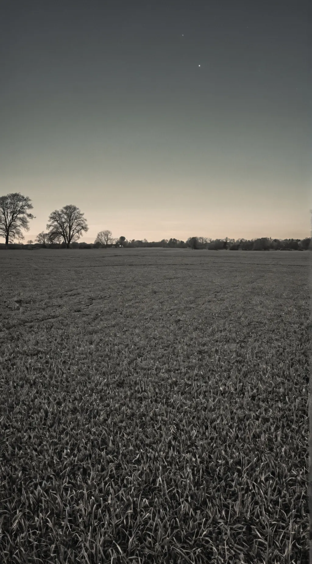 ai character: Killed by Censors background