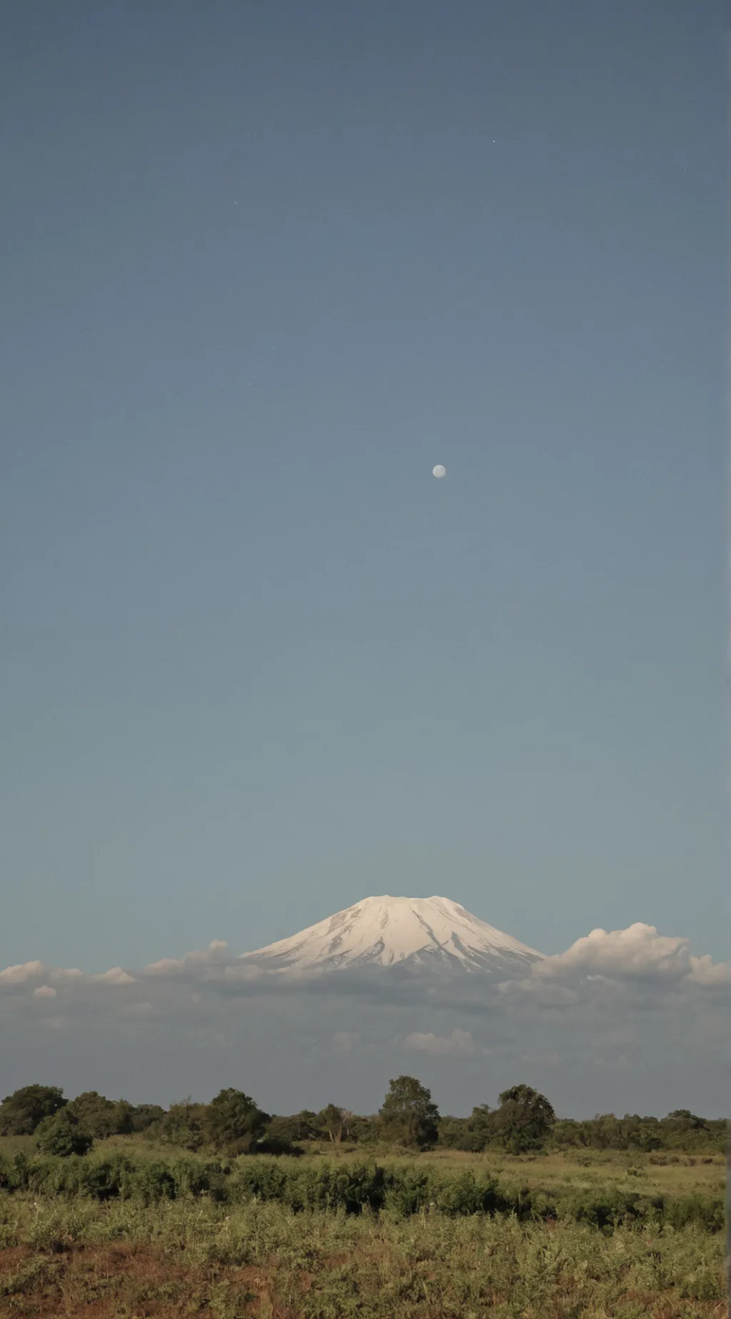 ai character: ~Mha sleeepover🎀 background