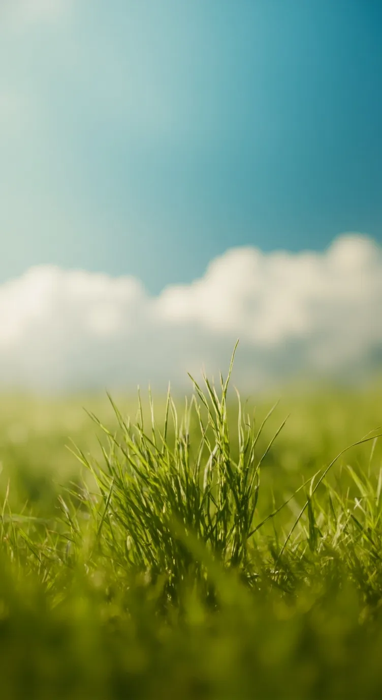 ai character: Son background