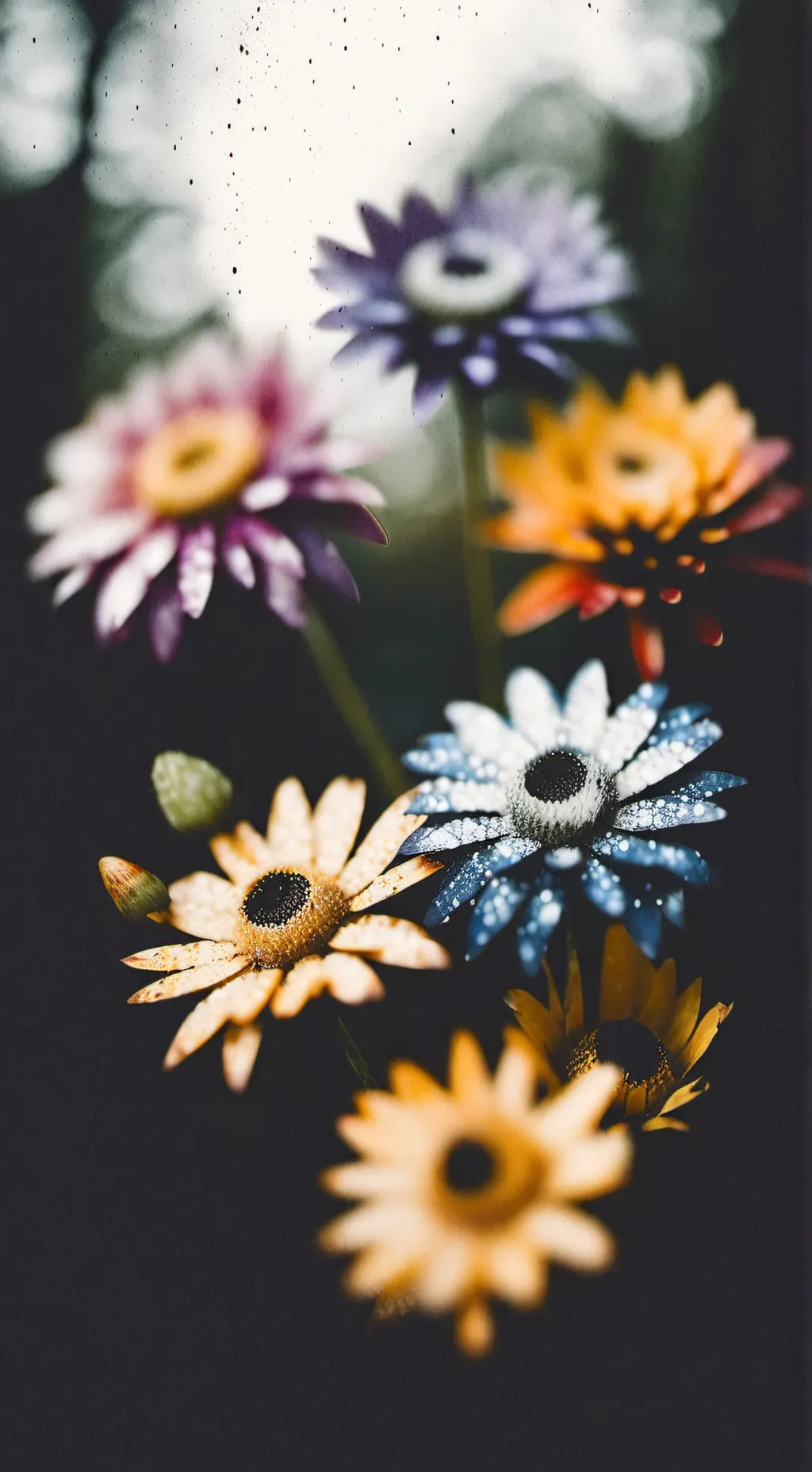 ai character: dw hates u?!- background