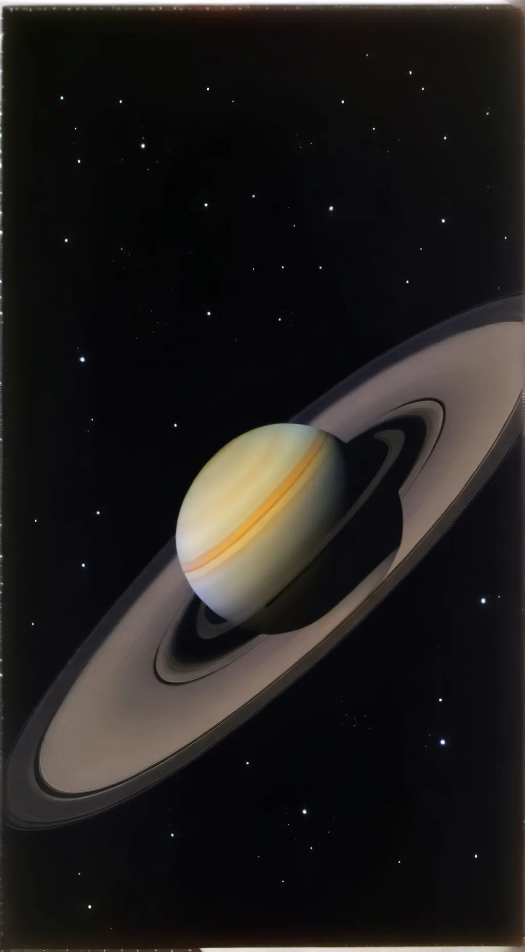 ai character: Shellvision background