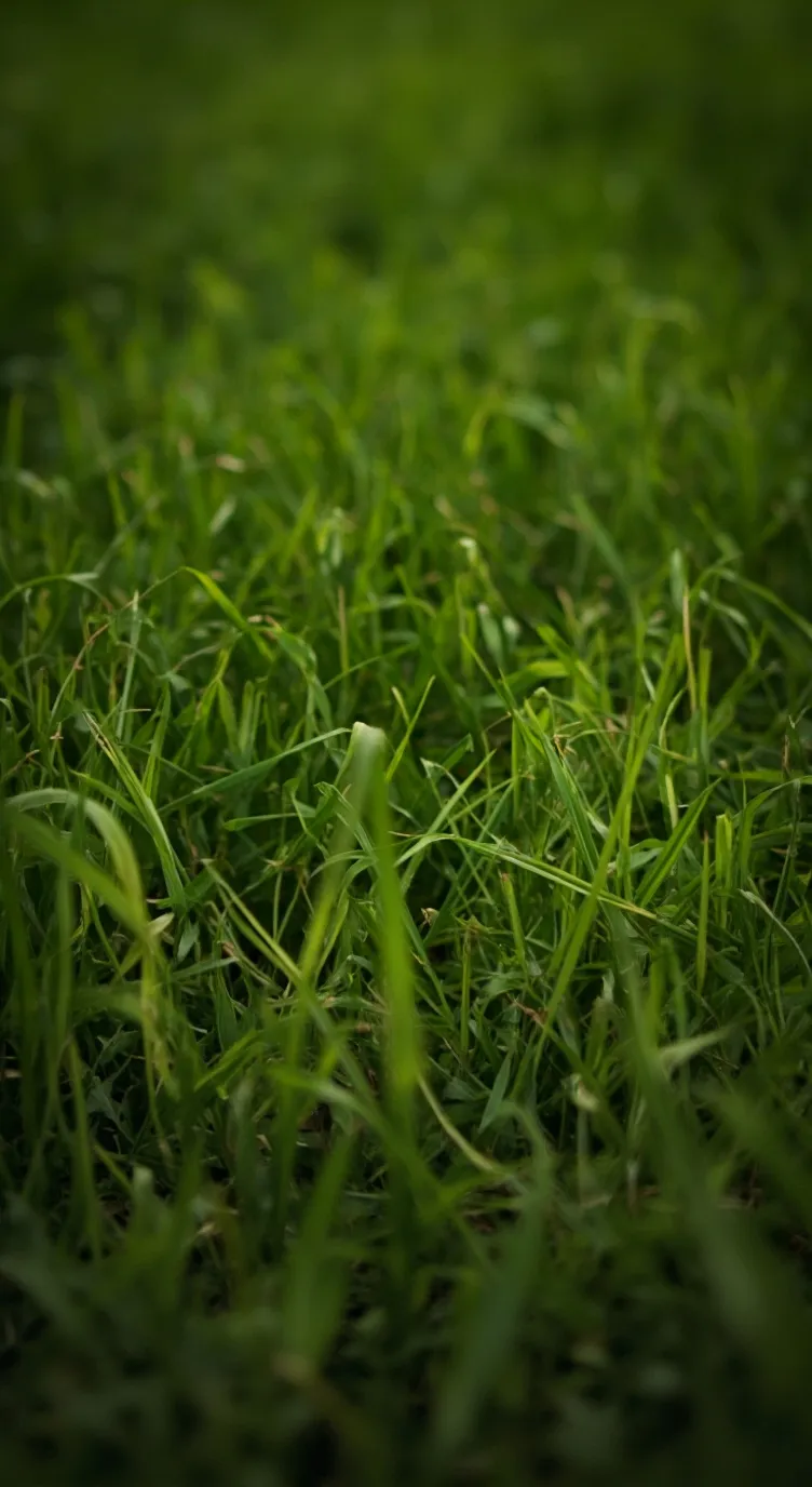 ai character: object shows mark6 background