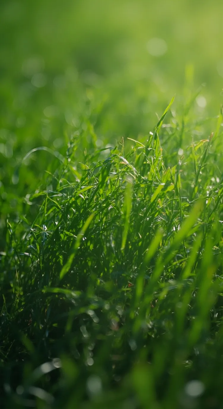 ai character: object shows mark7 background