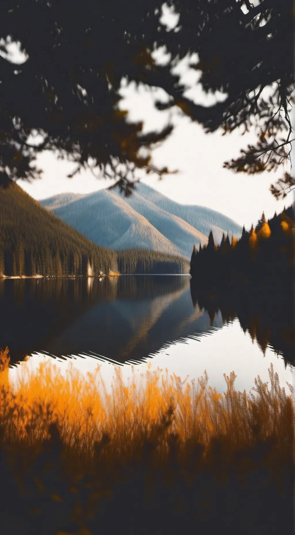 ai character: chill here>_< background