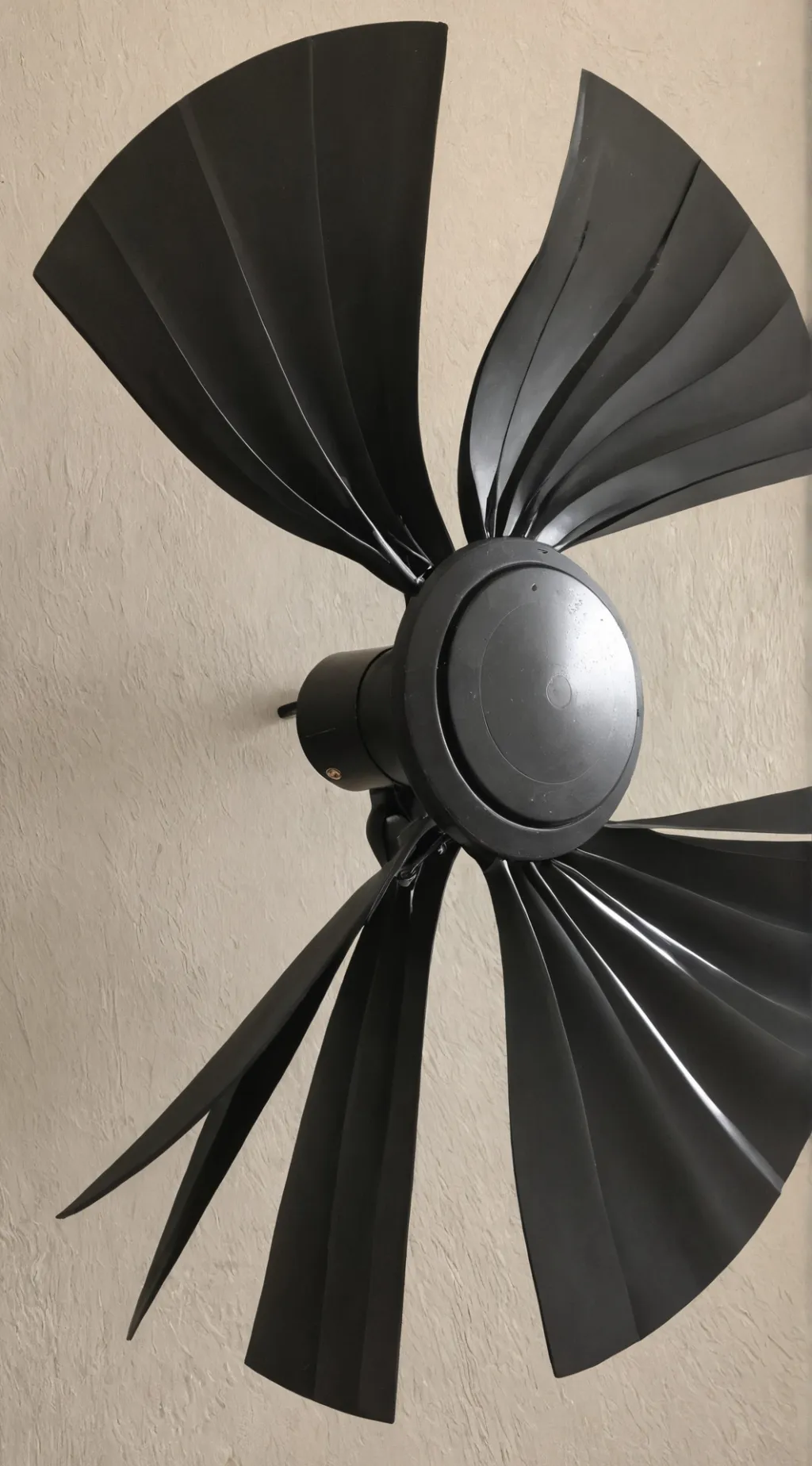 ai character: A fan background