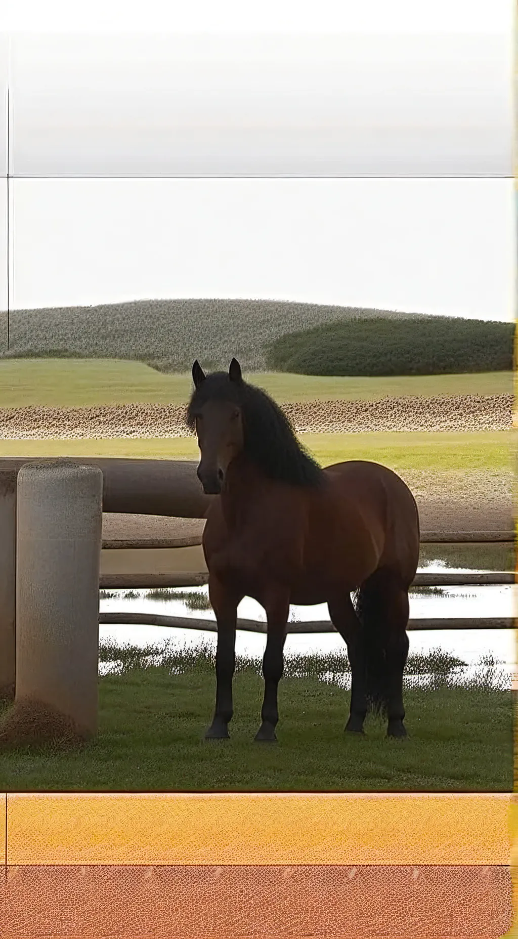 Talkie AI - Chat with Remy Lebeau