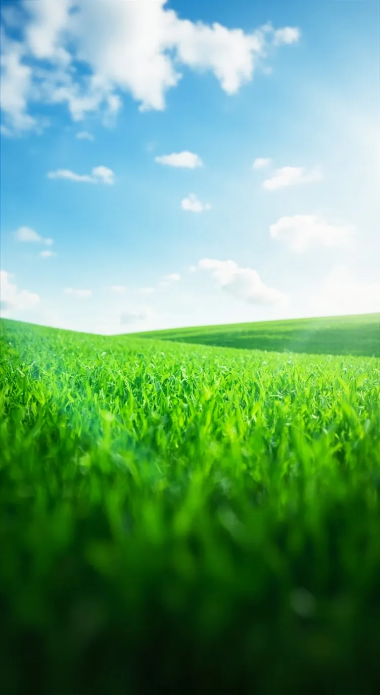 ai character: object shows11 background