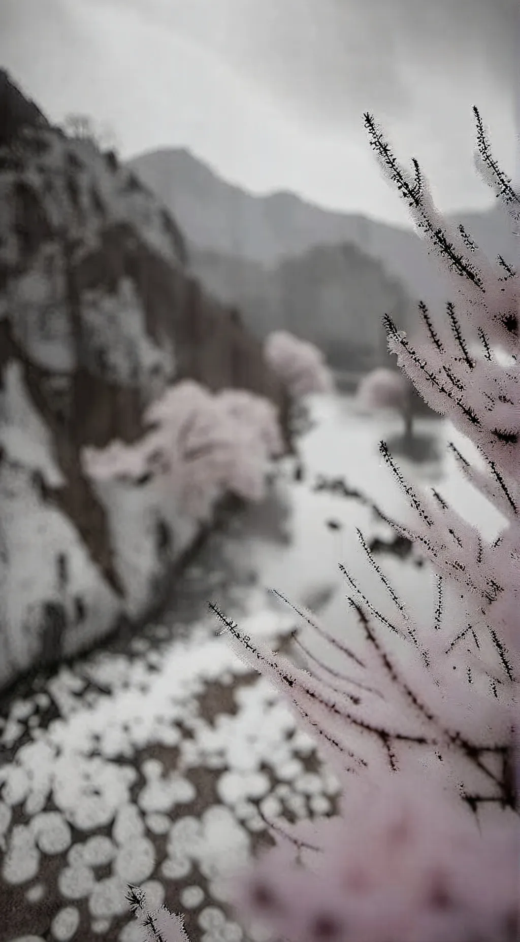 ai character: Han background